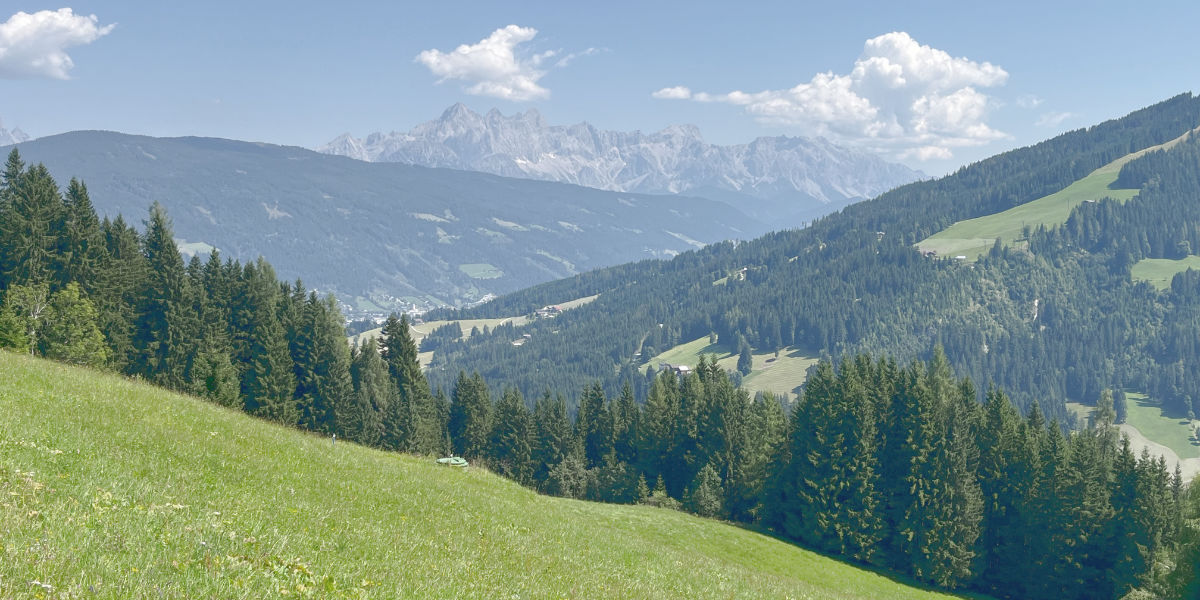 Seminar Grafik (Berge)