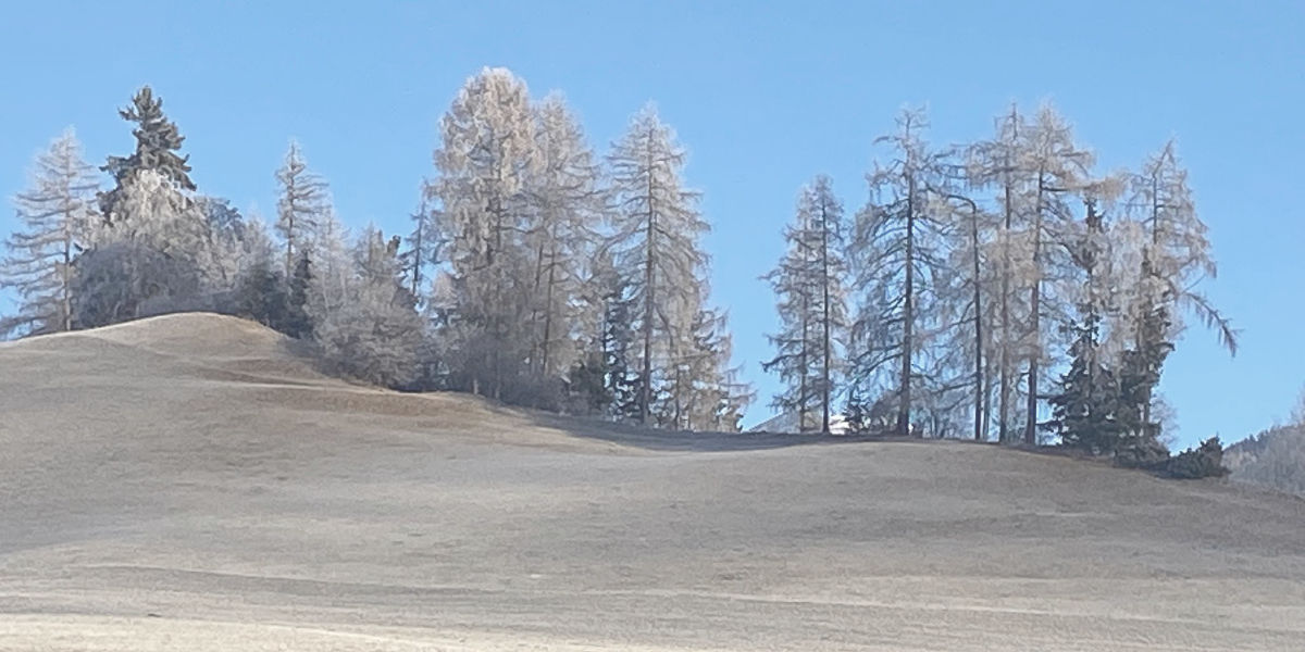 Seminar Grafik (Hügel)