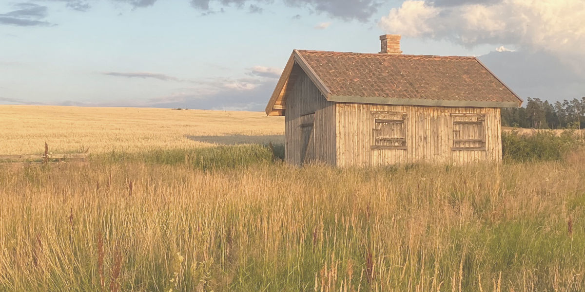 Seminar Grafik (Haus im Feld)